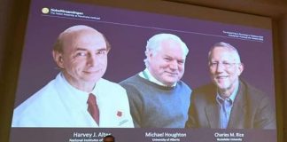 Nobel Prize For Medicine To Scientists Discovering Hepatitis C