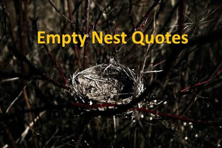 25 Empty Nest Inspirational Quotes Diversity News Magazine