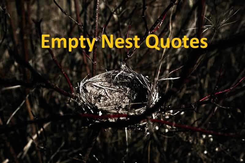 empty nest inspirational quotes