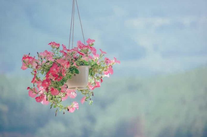 Artificial Hanging Plants and Flowers