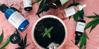 CBD Tinctures