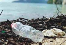 How long does it take plastic to decompose