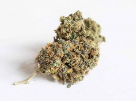 THC 8 Flower