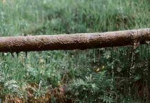 Blocked Drain Solutions
