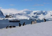 South Pole Expeditions