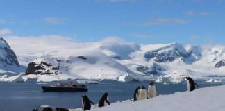 South Pole Expeditions