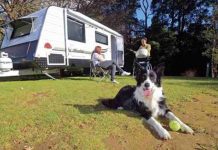 Embarking on a Journey: The Ultimate Guide to Traveling with Pets in a Trailer Traveling with Pets in a Trailer