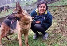 Vets Take Care Of Their Pets
