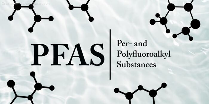 PFAS Chemicals in Food Packaging