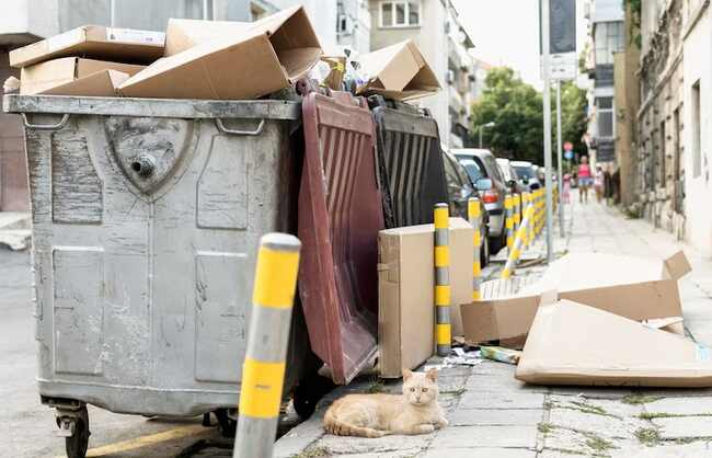 Trash Valet Services