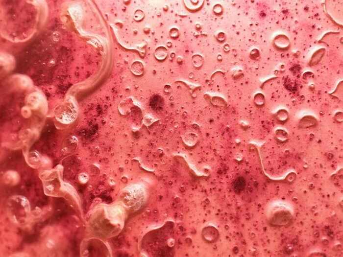 E. Coli Outbreaks: Understanding Liability and the Legal Battles That Follow E. Coli Outbreaks