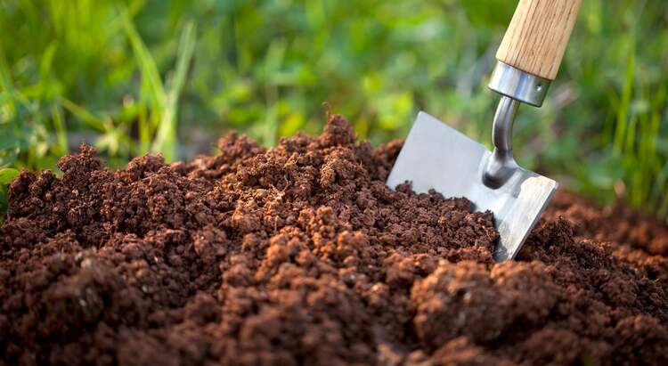 Landscaping Materials for Your Project